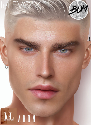 Not Found - Aron Skin Ruddy (Lelutka)