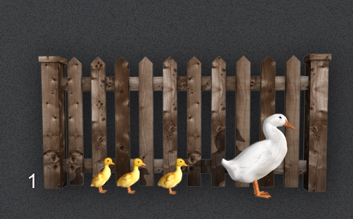 1. MOoH! Wood fence with ducks 6LI