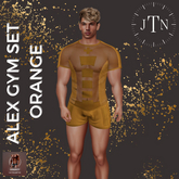 JTN Alex Gym Set Orange
