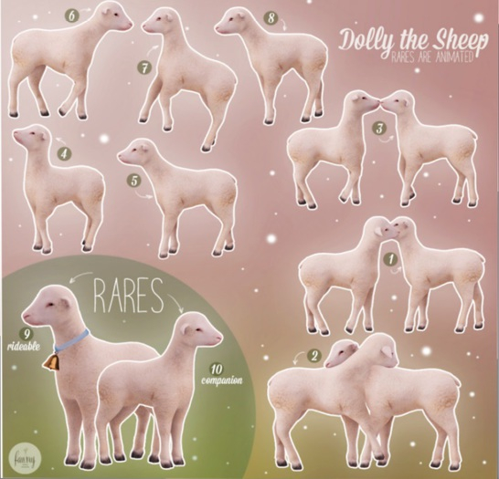 Fawny - Dolly the Sheep - Rideable - RARE