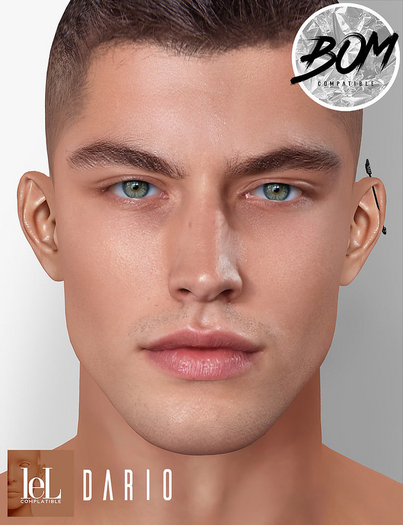 Not Found - Dario Skin Ruddy (Lelutka)