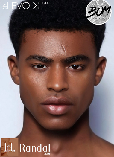 Not Found - Randal Skin Dark Brown (Lelutka)