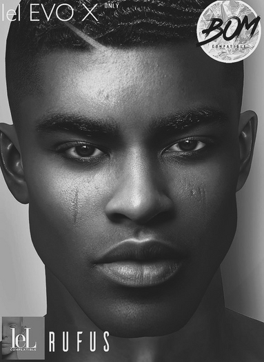 Not Found - Rufus Skin (Lelutka)*Demo*