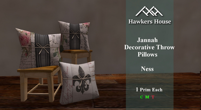 *HH* Jennah Decorative Throw Pillow Ness