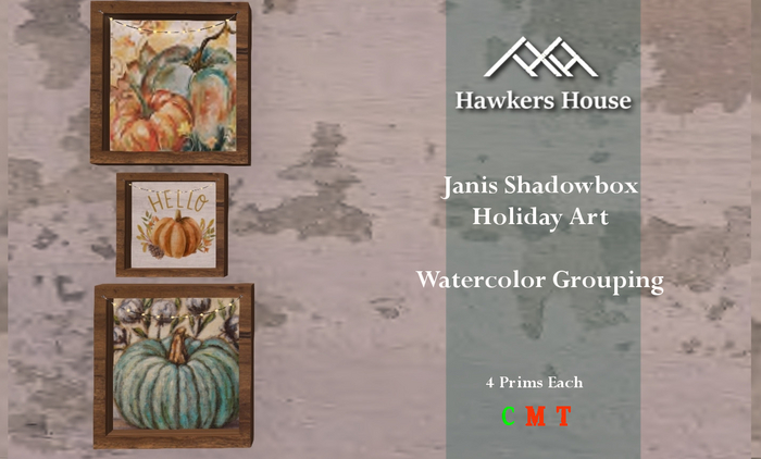 *HH* Janis Shadowbox Holiday Art Watercan Floral