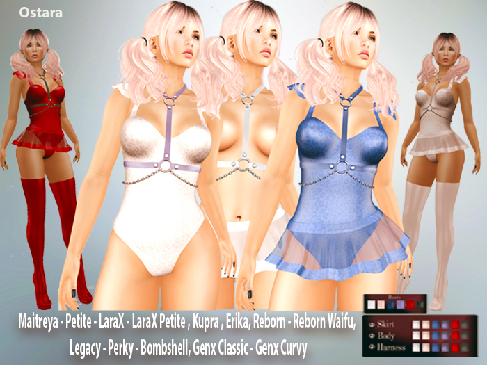 ⭐Harnes Lingerie & Boots  