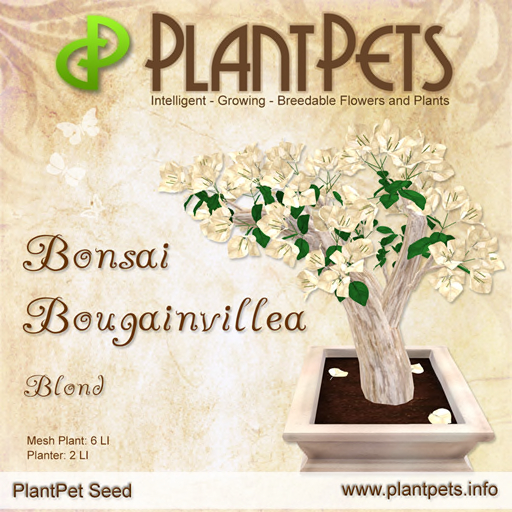 PlantPet Bonsai Bougainvillea *Blond*