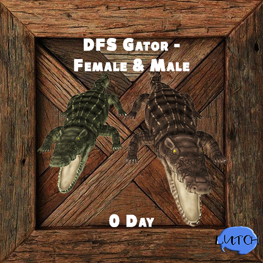 DFS Gator - Female & Male