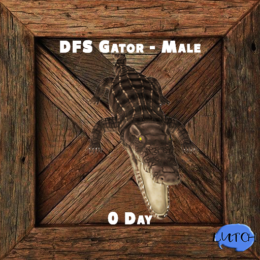 DFS Gator - Male