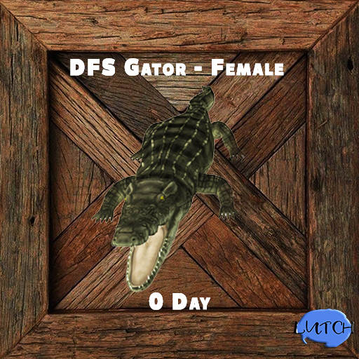DFS Gator - Female