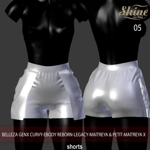 [SHINE FULL PERM] 05