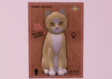 Female KittyCats Chateau Cat - Sunshine Puff No. 1