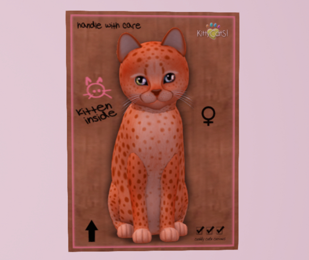 Female Breedable Cat KittyCatS Cheetah! - Tangerine No. 2