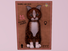 Female Breedable Cat KittyCatS Kitten Genesis - Ginger II