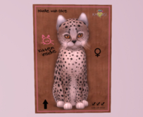 Female Breedable Cat Cheetah! - Washed Blue Mink