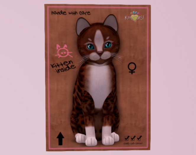 Female Breedable Cat KittyCats Genesis - Ginger Kitten