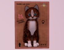 Female Breedable Cat KittyCats Genesis - Ginger Kitten