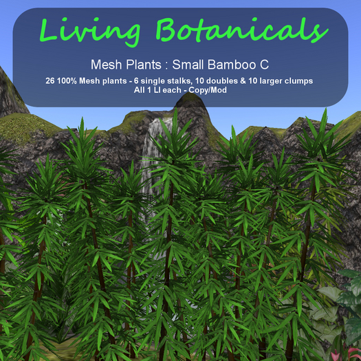 Inochi Botanicals - Mesh Plant "Small Bamboo C"
