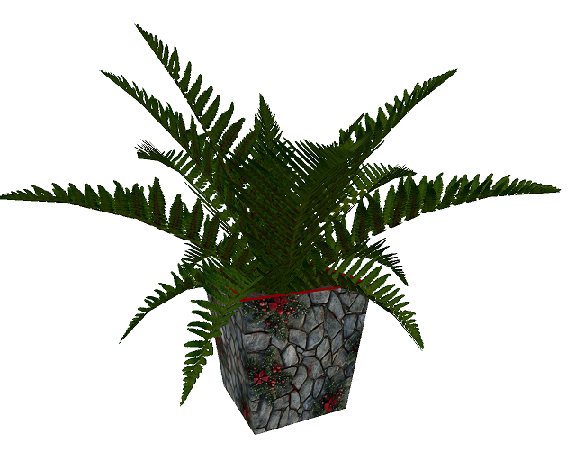 Large Fern Plant in One of a Kind Christmas Stone Pot