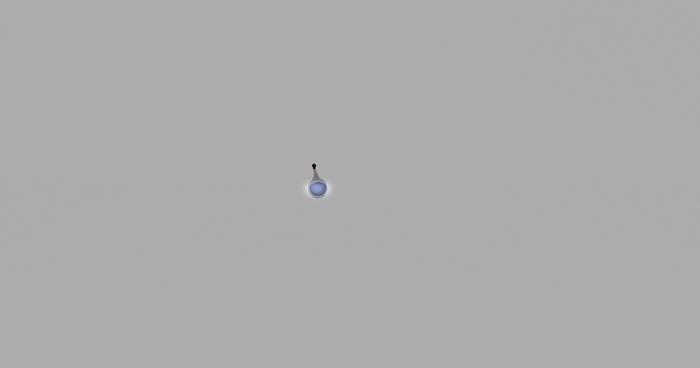 Water Bottle