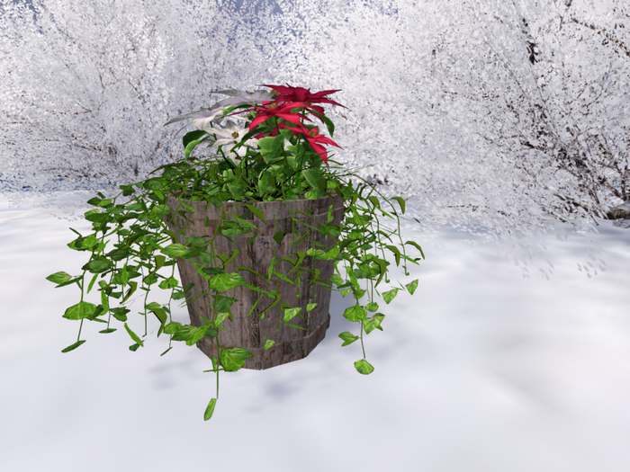 Small Wooden Barrel with Poinsettia