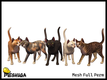 Meshuga Stray Cat Pack FULL PERM MESH