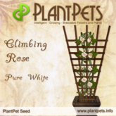 PlantPet Seed [Climbing Rose *Pure White*]