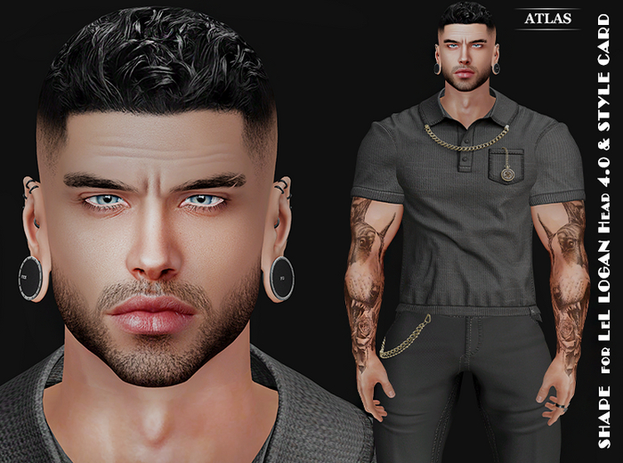 *ATLAS* SHAPE FERIT for LeL LOGAN Head 4.0 & STYLE CARD