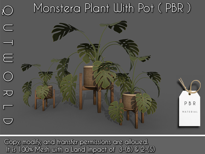 .::QUTWORLD Monstera Plant With Pot_PBR::.FP