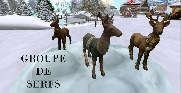 ** DC ** GROUPE DE SERFS _ "UNPACKER /HUD"