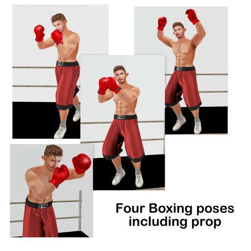 four boxing poses