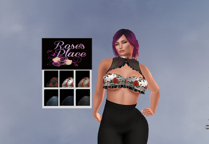 Rebecca Denim & Roses Top