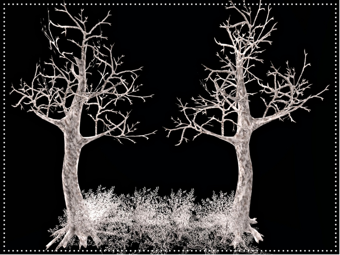 Winter Bare Tree Landscape