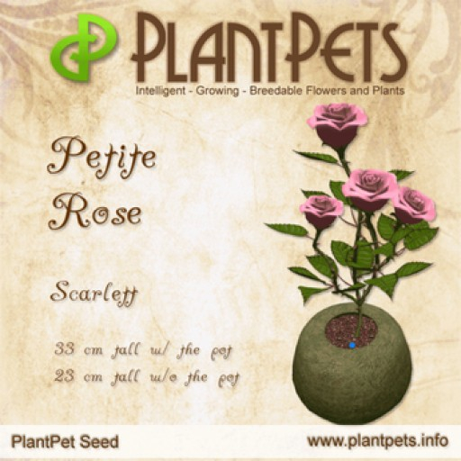 PlantPet Seed [Petite Rose *Scarlett*]