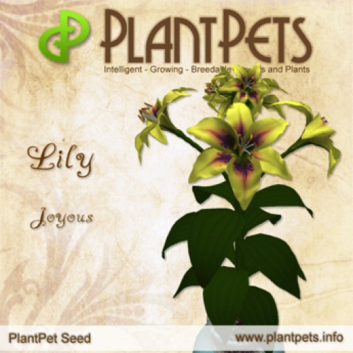 PlantPet Seed [Lily *Joyous*]