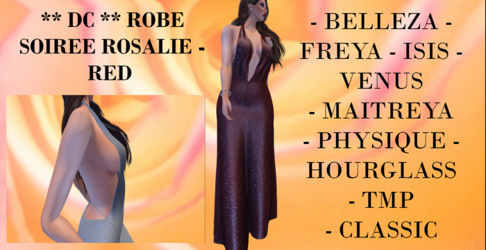 ** DC ** ROBE SOIREE ROSALIE- RED  _ "UNPACKER /HUD"