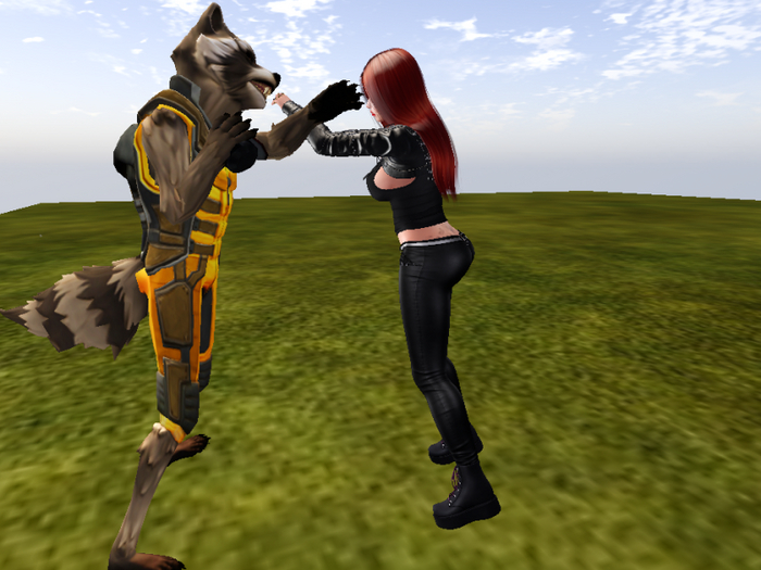 ANIMESH BOXER RACCOON