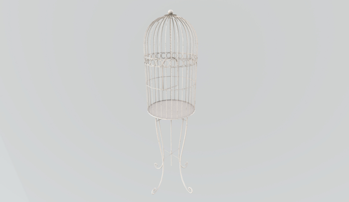 Cuzy/White Bird cage