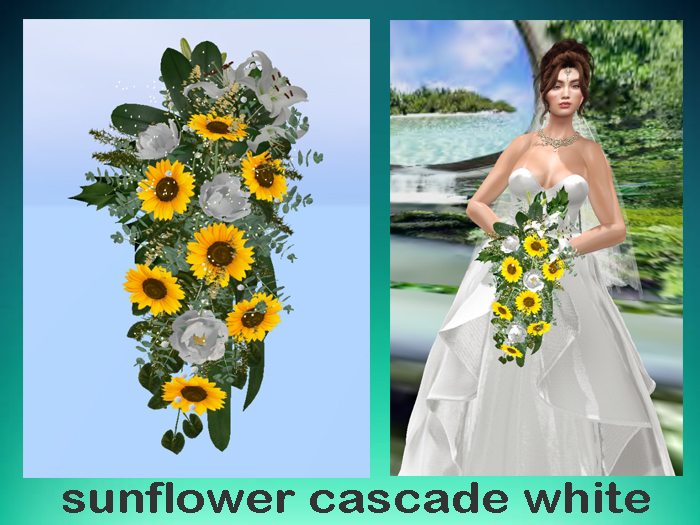 sunflower cascade  white