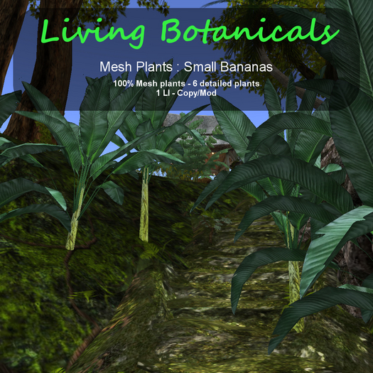 Inochi Botanicals - Mesh Plant "Small Bananas"