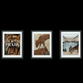 //7Studios. Designer Frames - Tiger