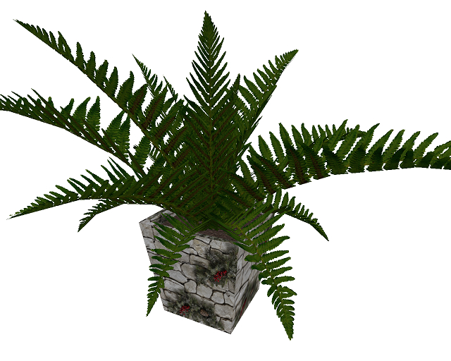 Large Fern Plant in One of a Kind Berries Stone Pot