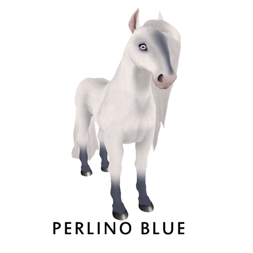 Perlino Blue Capricorn HfPom