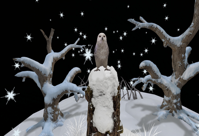 Winter #8