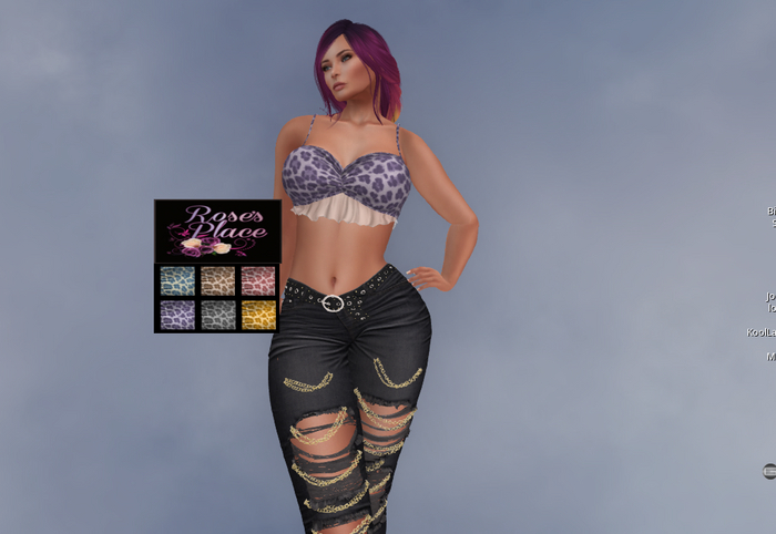 Anna's Top Bra