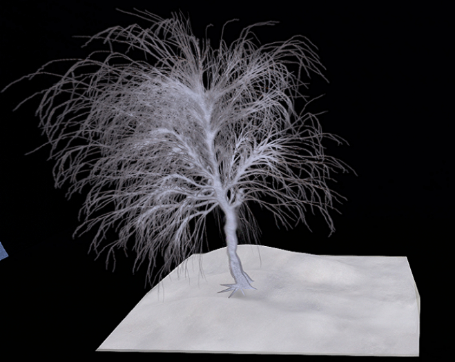 Snowdrift with a tree.