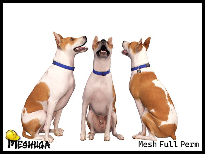 Meshuga Kai Mixed Breed Dog FULL PERM MESH