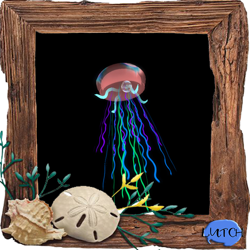 (7S) Uncommon Fish: Multicolor Jellyfish