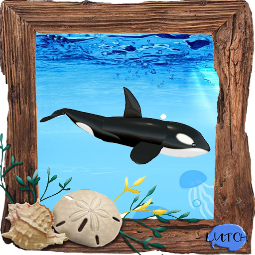 (7S) Rare Fish: Orca