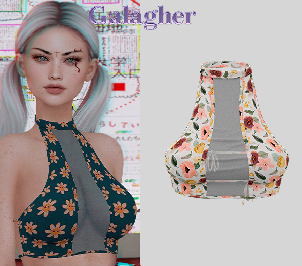 Galagher - Babi Top Edition 11